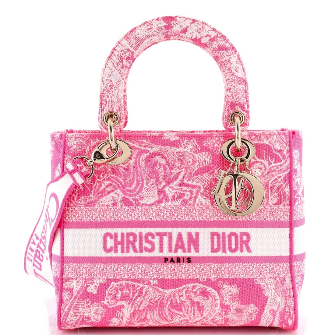 Lady Dior Toile de Jouy Christian D-Lite Embroidered Canvas Bag: Lady Dior Toile de Jouy Christian D-Lite Embroidered Canvas Bag The Lady Dior Toile de Jouy Christian D-Lite Embroidered Canvas Bag features a striking pink and white print on its canvas exterior,