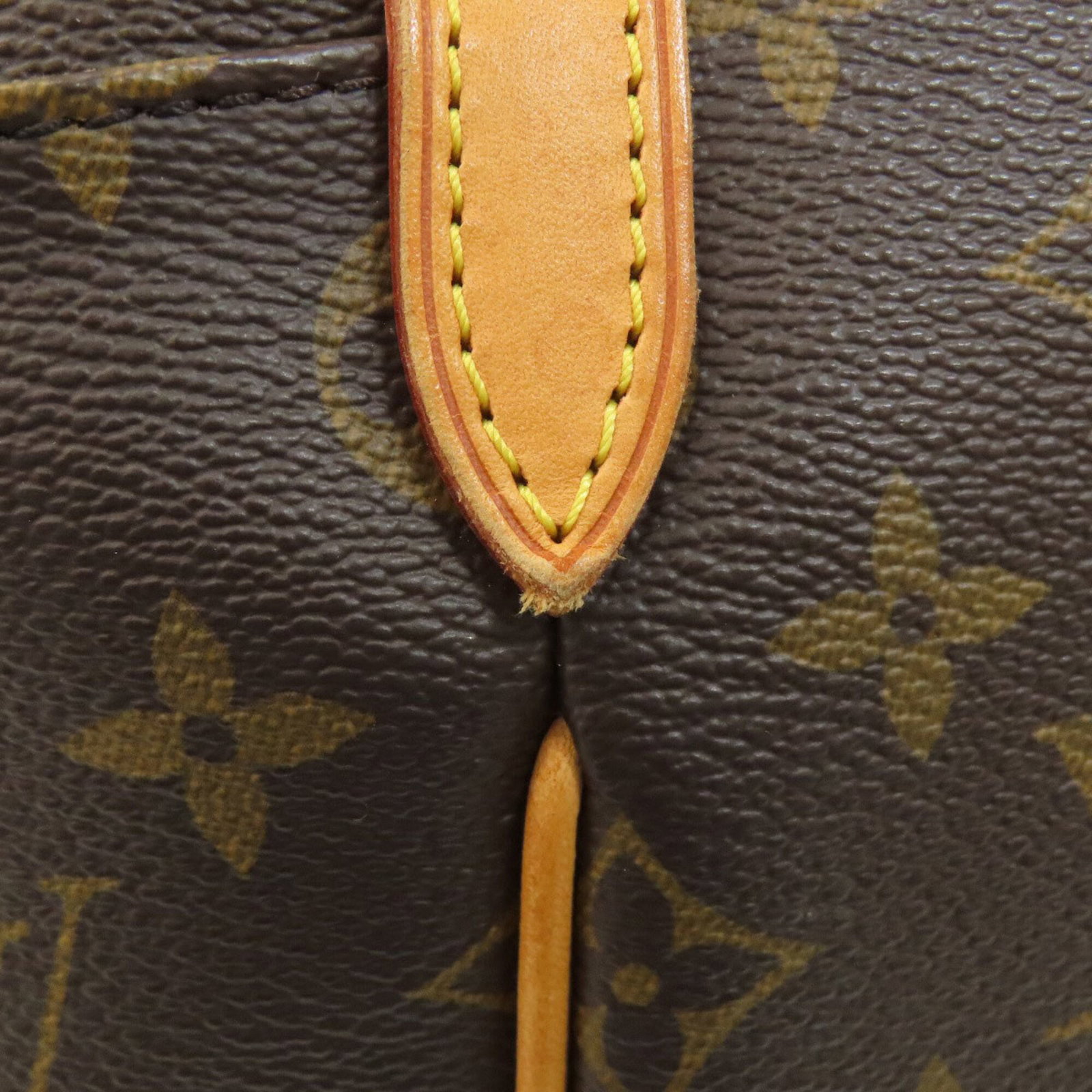 Monogram Canvas Louis Vuitton Tote - 14