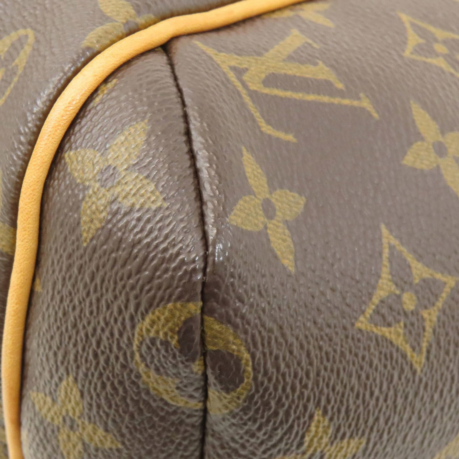 Monogram Canvas Louis Vuitton Tote - 19