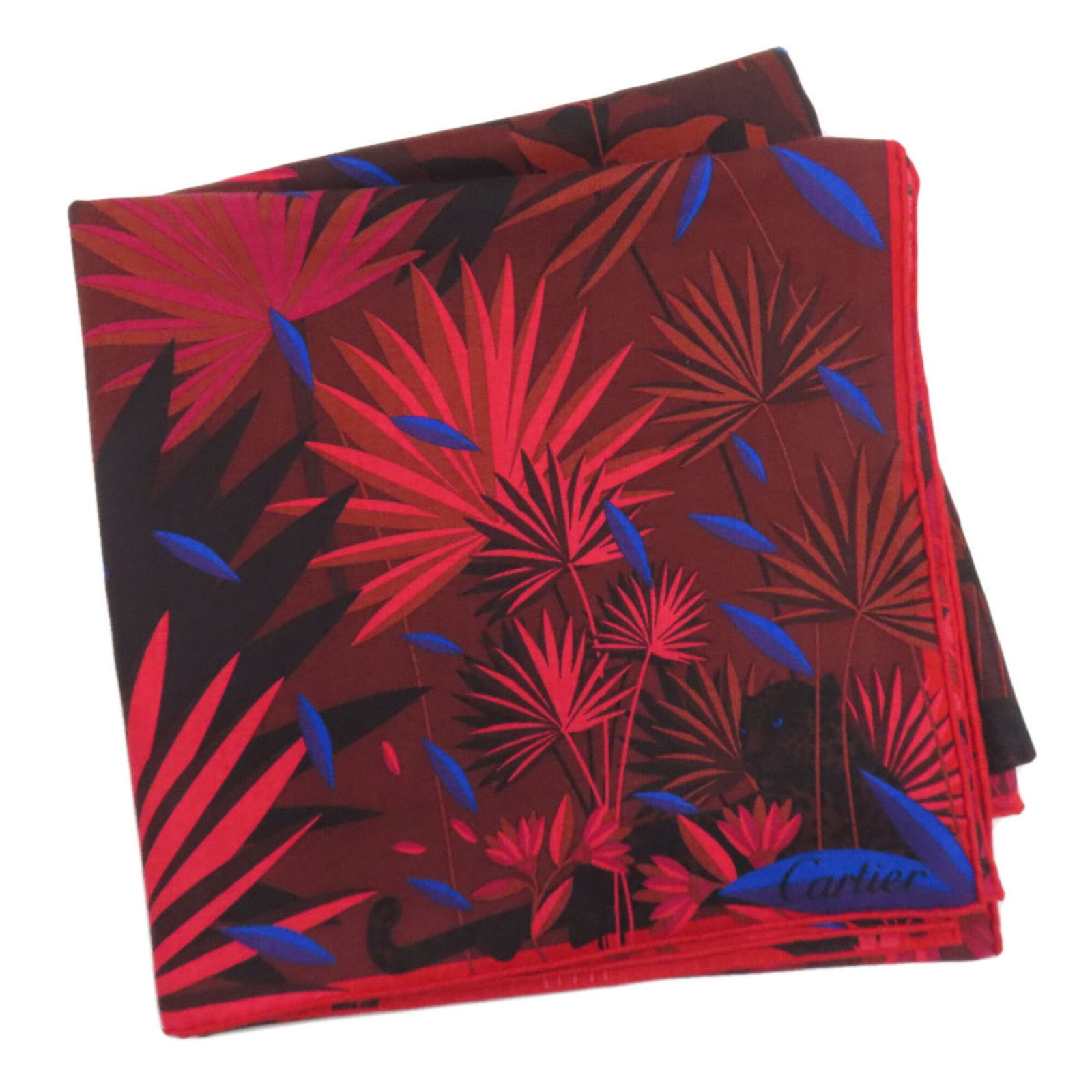 Cashmere Cartier Scarf (1 of 8)