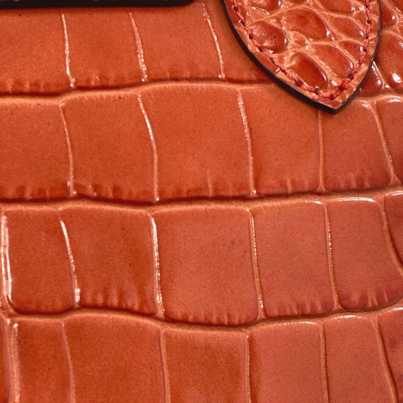 Longchamp Handbag Leather - 9