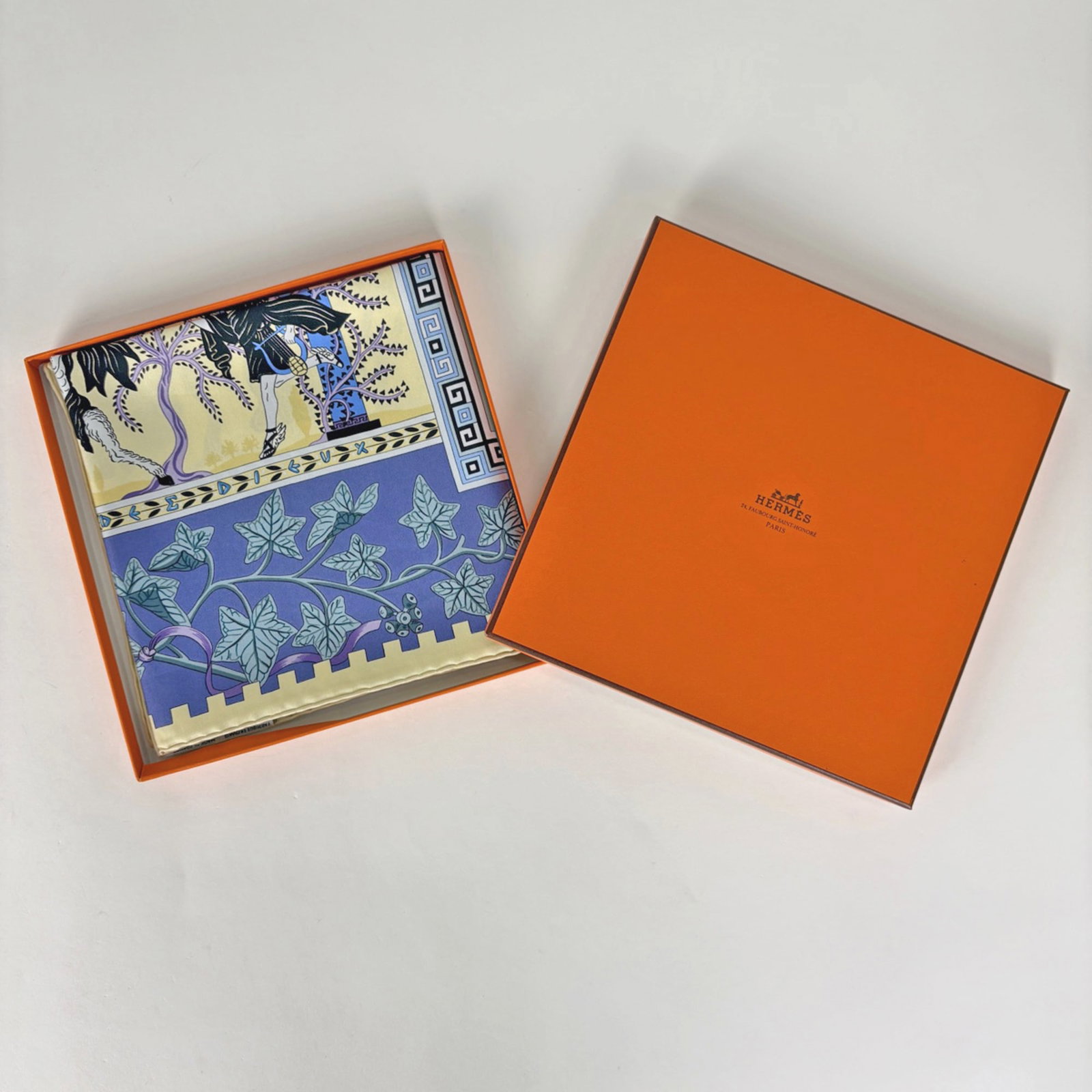 Silk Hermes Scarf - 5