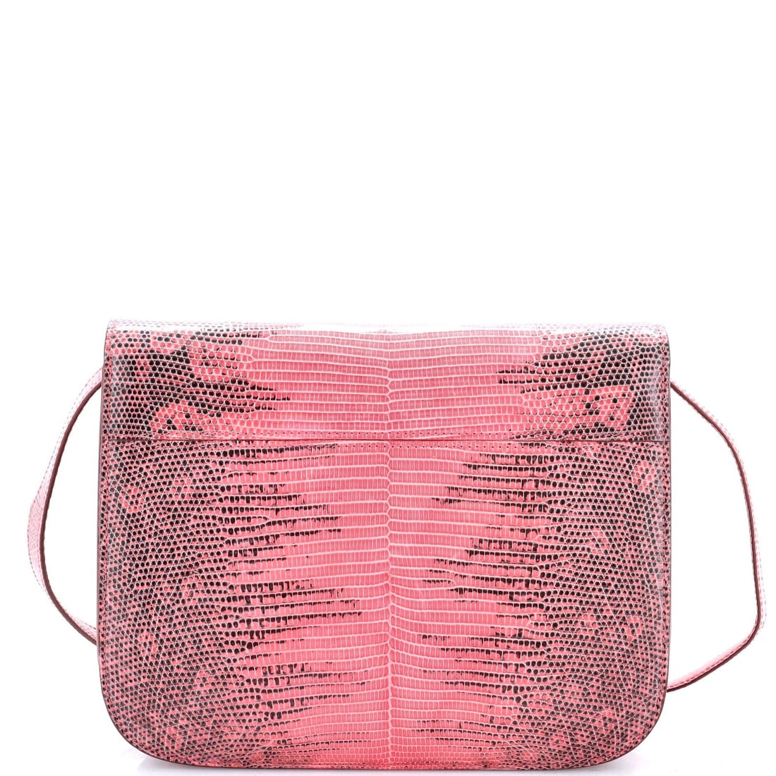 Classic Box Bag Celine Lizard Medium - 3