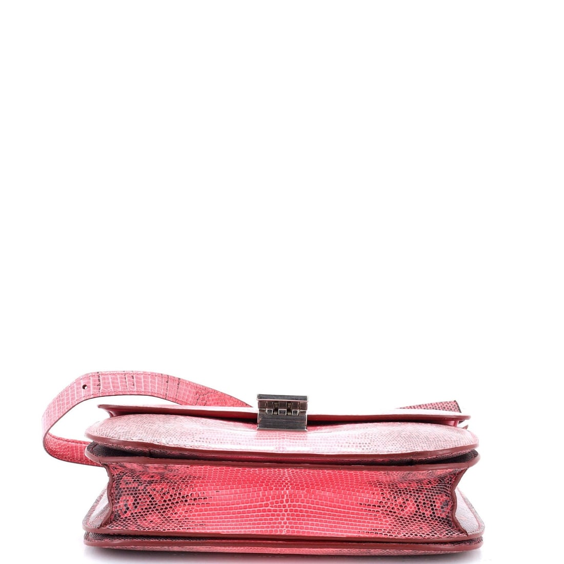 Classic Box Bag Celine Lizard Medium - 4