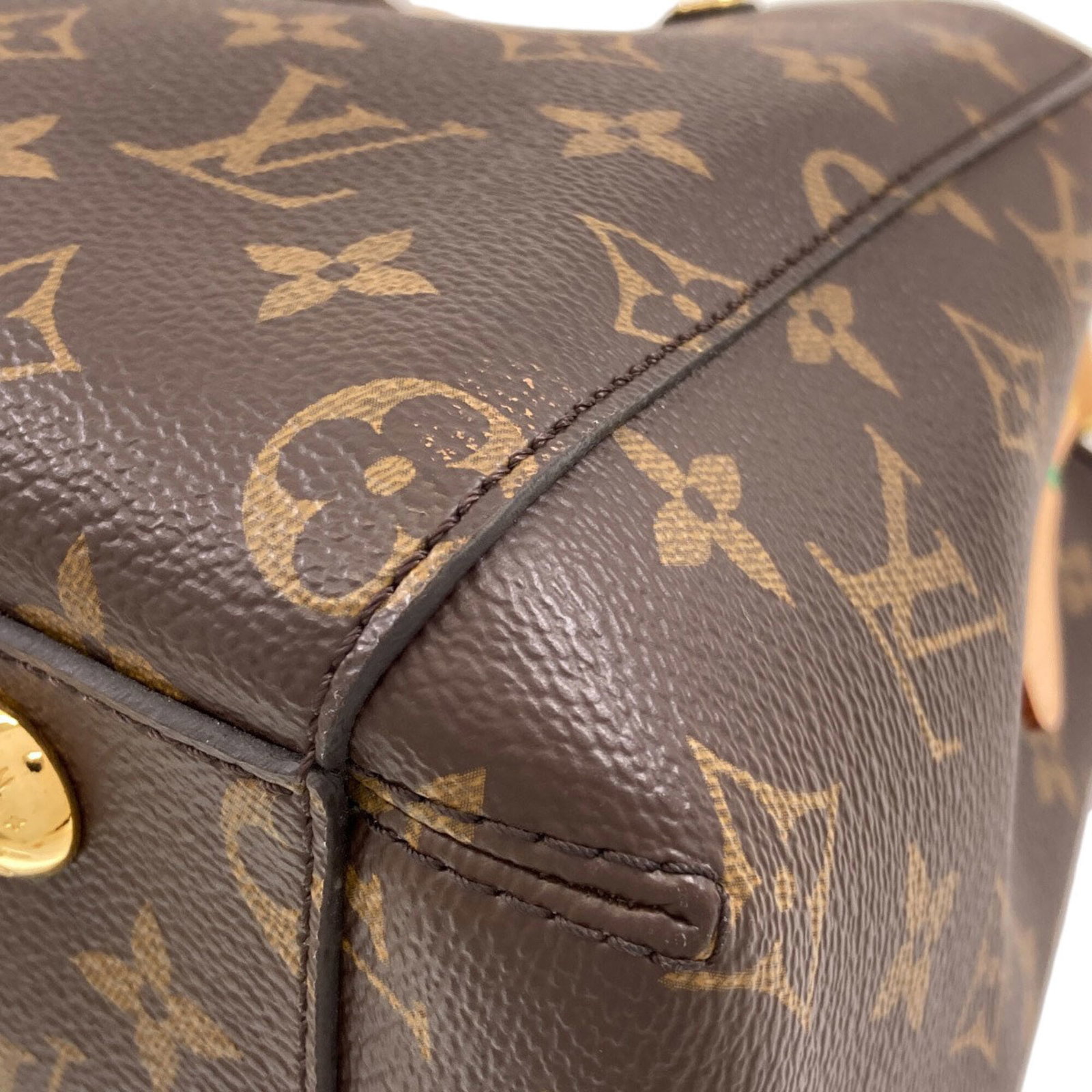 Canvas Monogram Louis Vuitton - 16