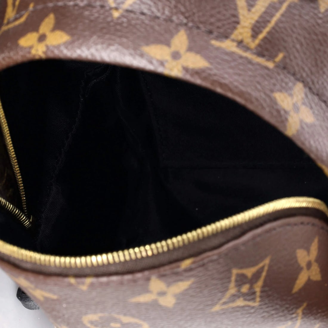 Vuitton Palm Springs Backpack Canvas Mini Monogram - 5