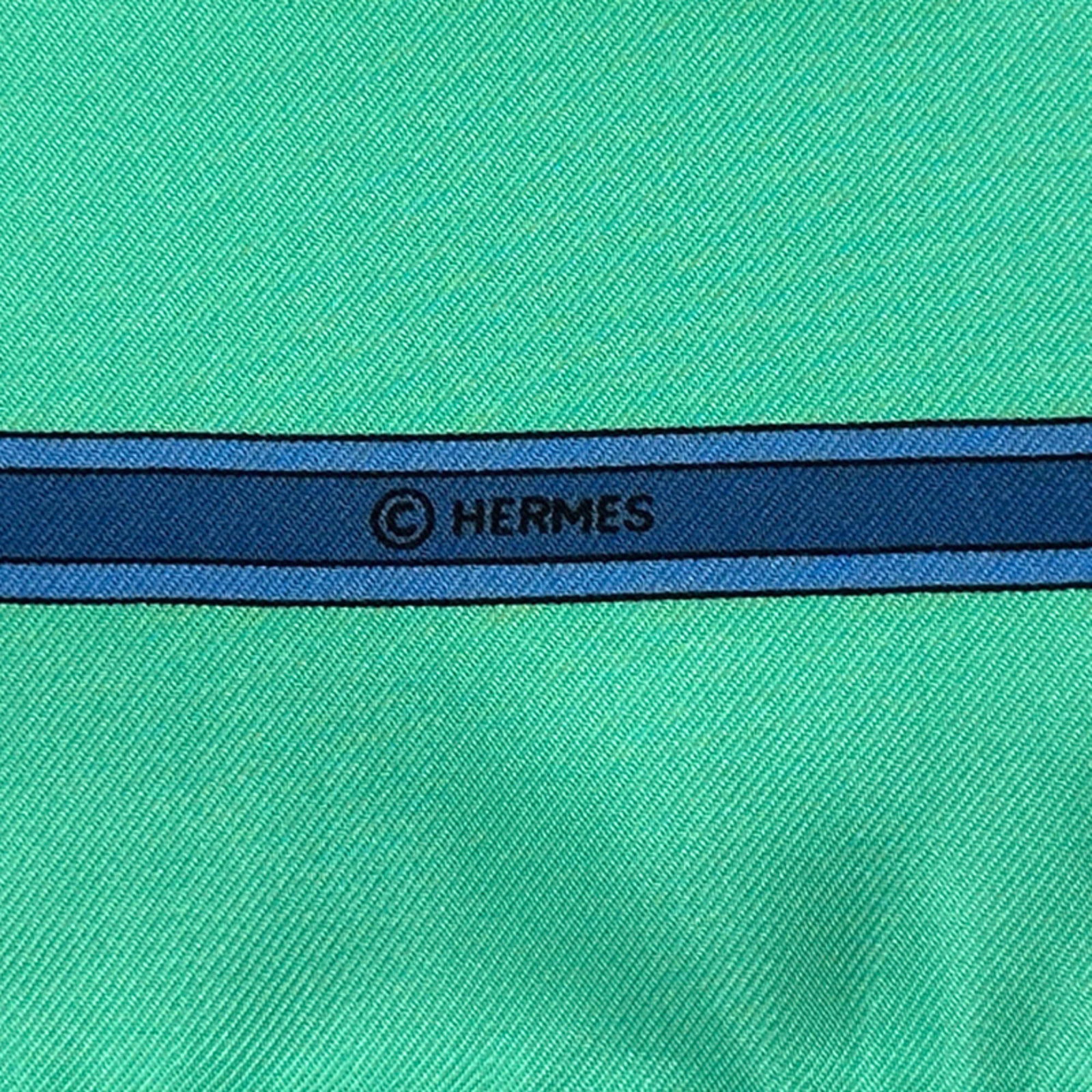 Silk Hermes Scarf - 5