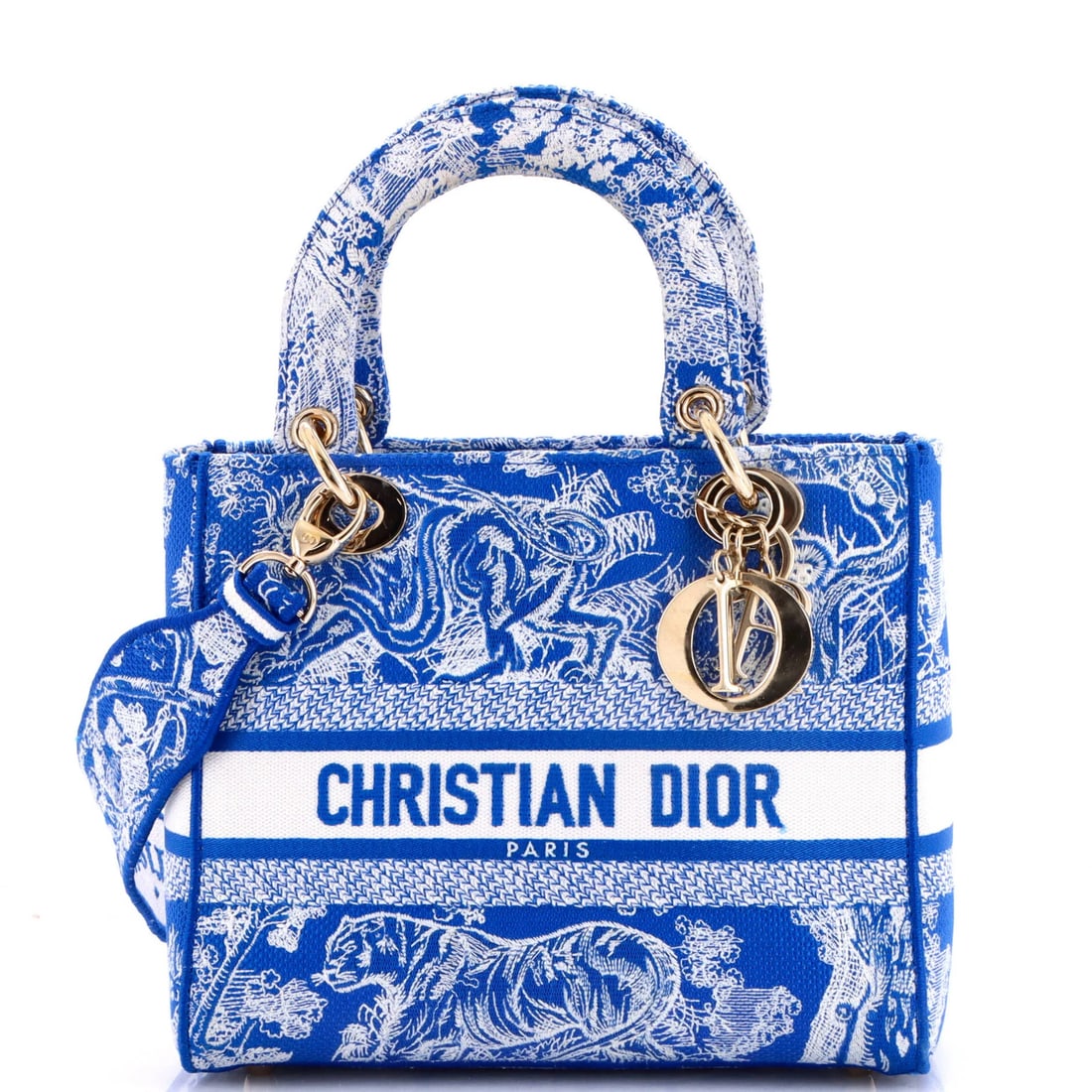 Lady D-Lite Bag Embroidered Canvas Christian Dior Medium: Lady D-Lite Bag Embroidered Canvas Christian Dior Medium The Lady D-Lite Bag Embroidered Canvas Christian Dior Medium is a stunning medium-sized bag with a striking blue canvas exterior and gold tone