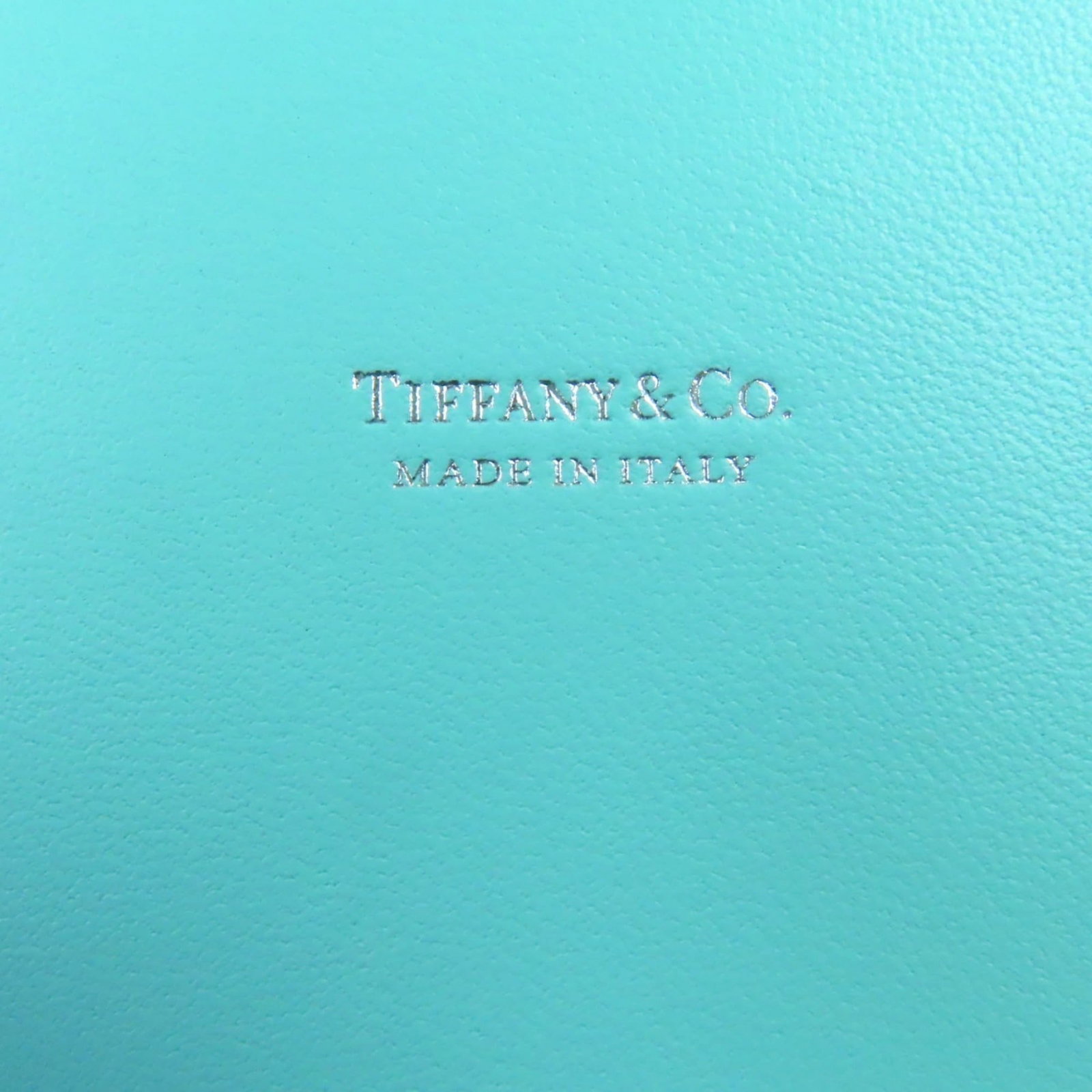 Tiffany Pouch Leather - 8