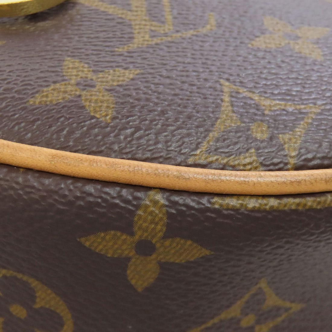 Monogram Canvas Loop Handbag Louis Vuitton - 19