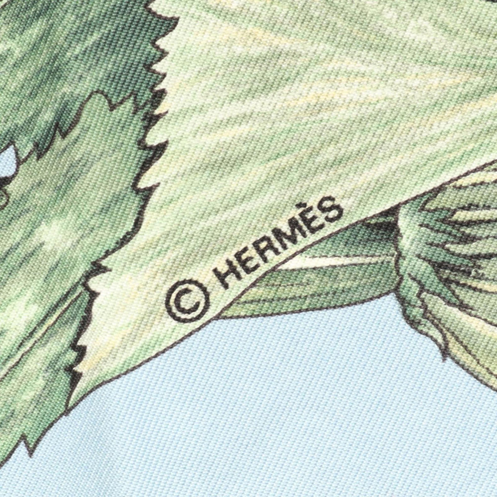 Silk Hermes Scarf - 2