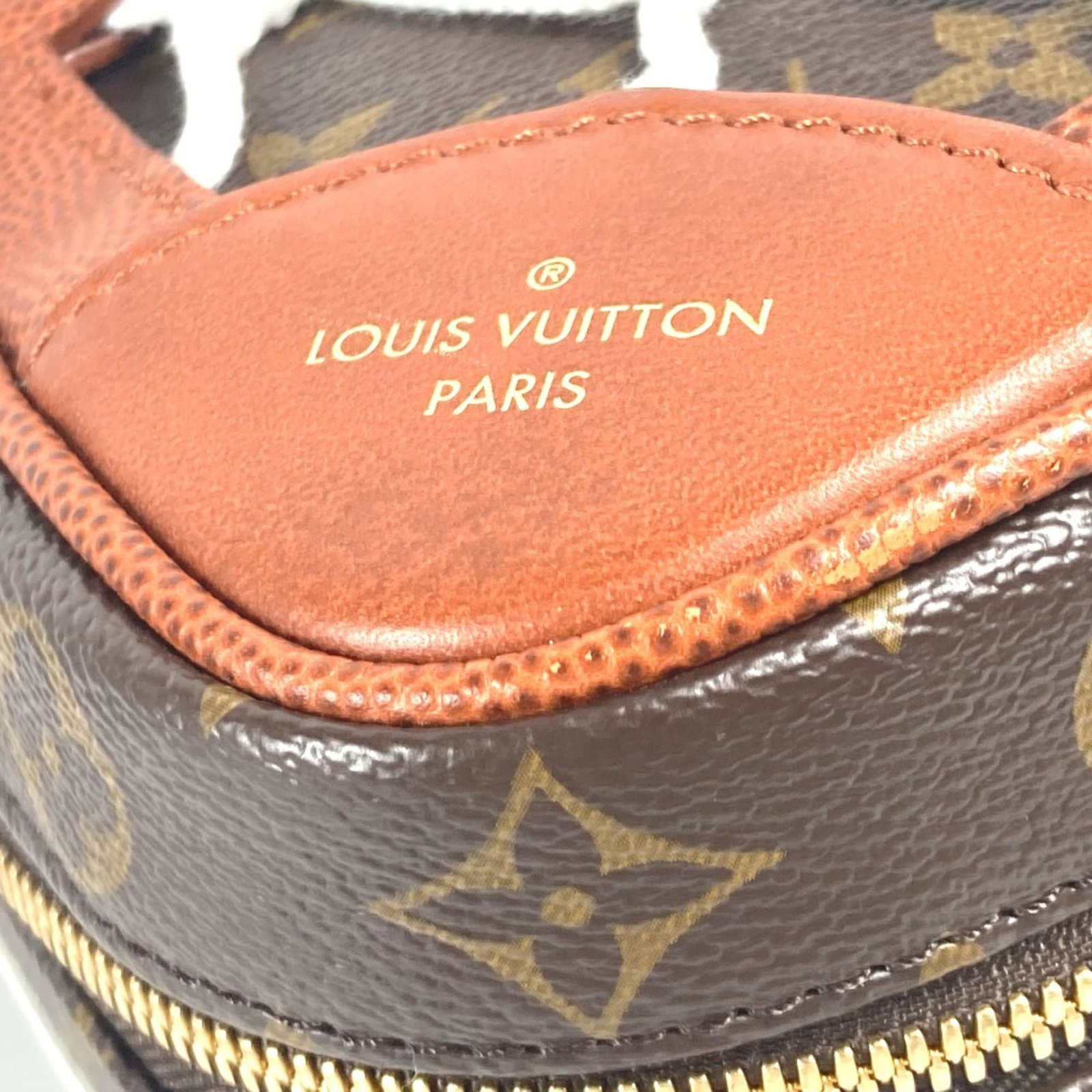 Vuitton Louis Monogram Backpack - 12
