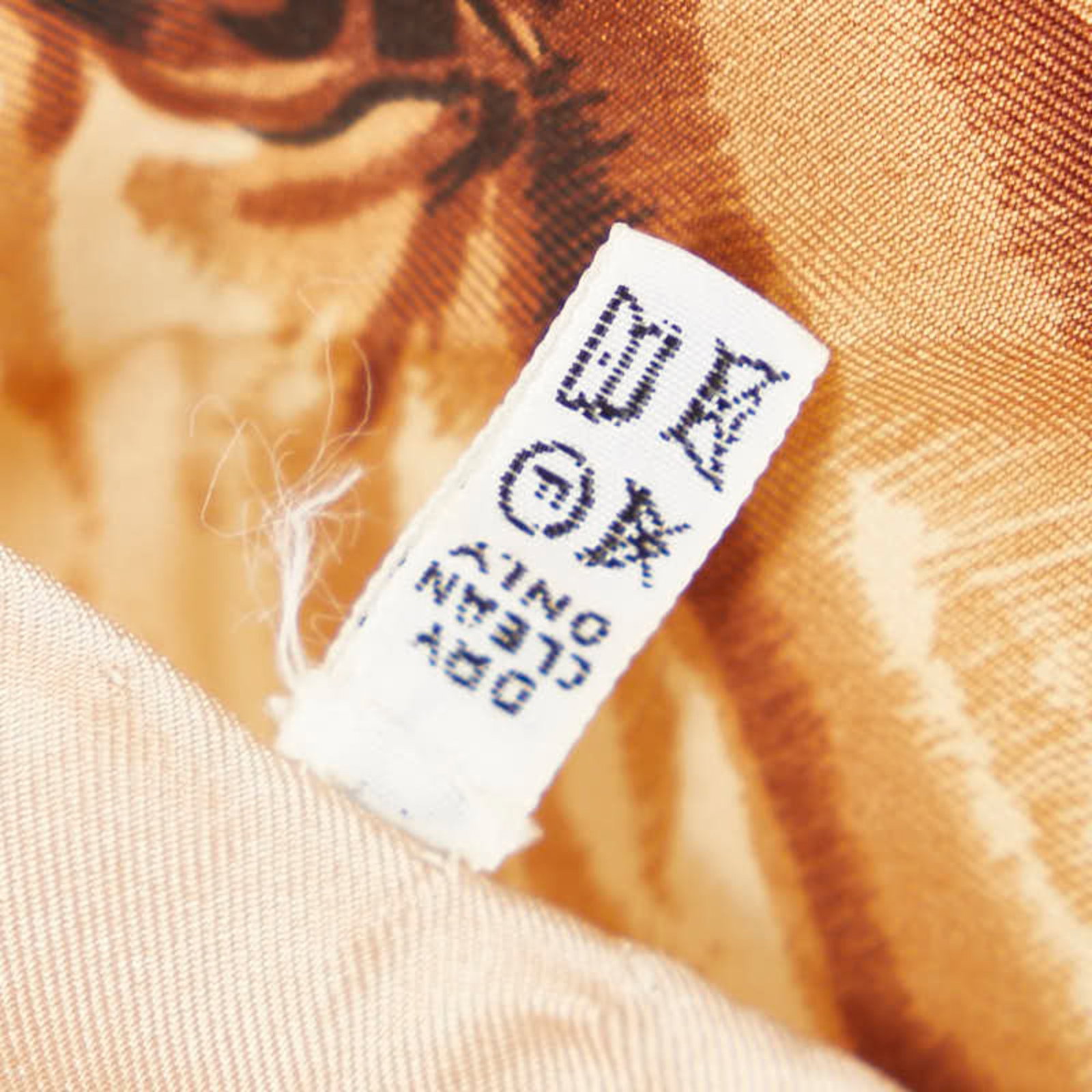 Silk Celine Scarf - 5