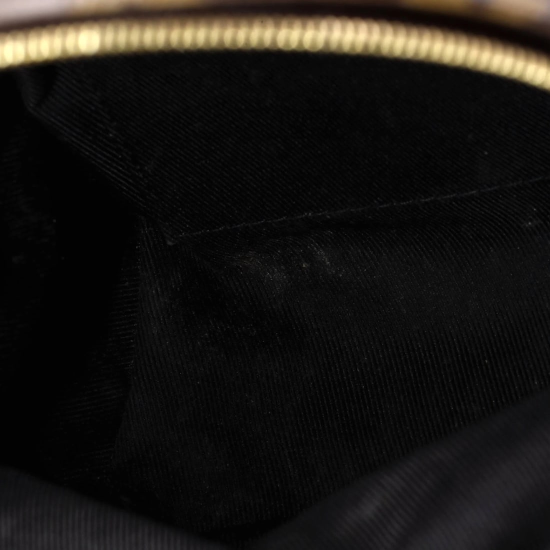 Vuitton Palm Springs Backpack Canvas Mini Monogram - 5