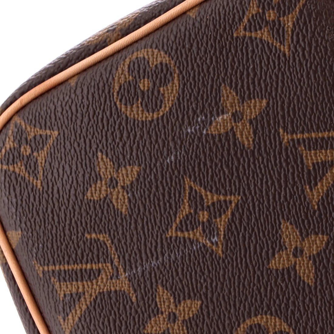 Macassar Mini Canvas Monogram Vuitton Louis Nice Vanity Case - 7