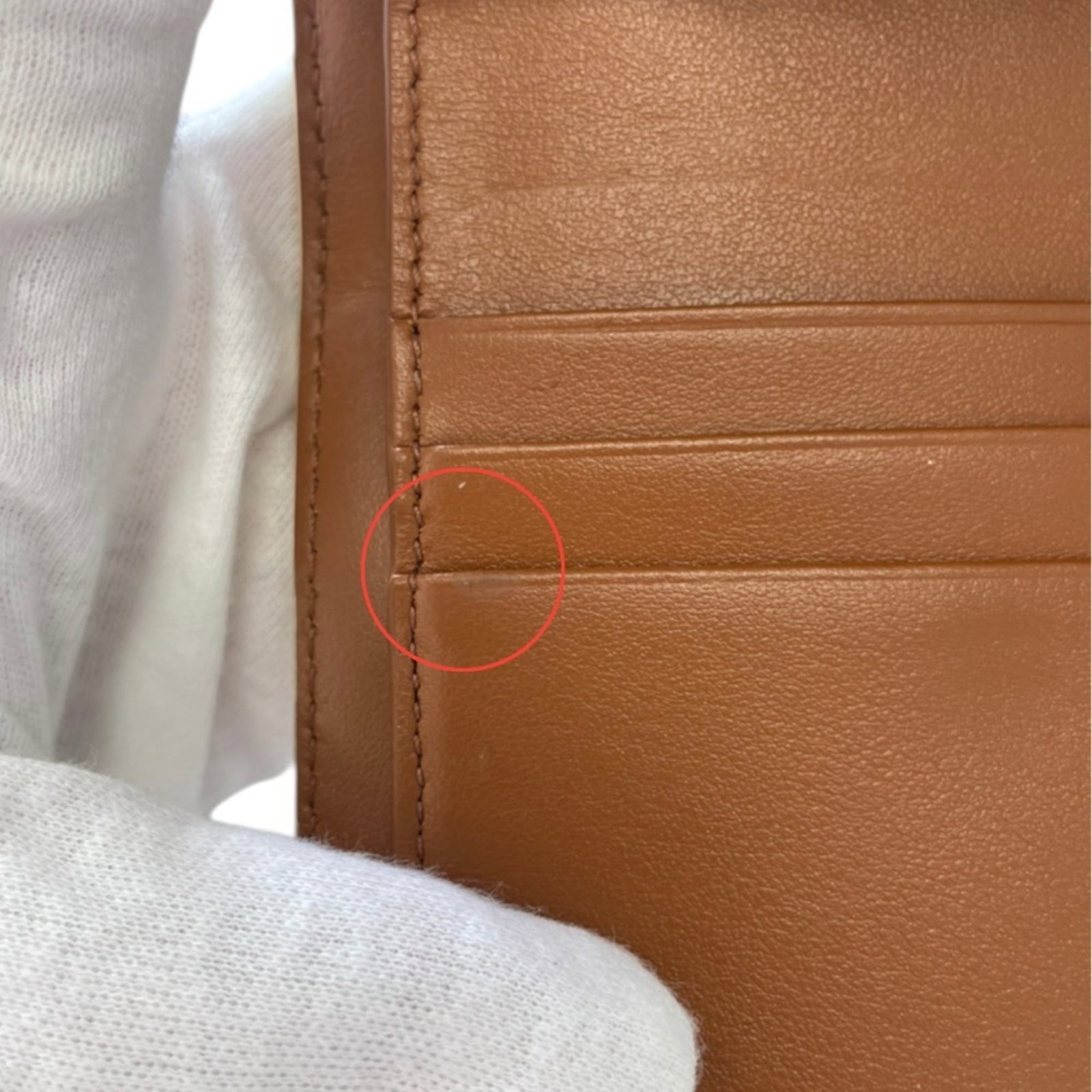 Celine Wallet (Tri-Fold) - 14