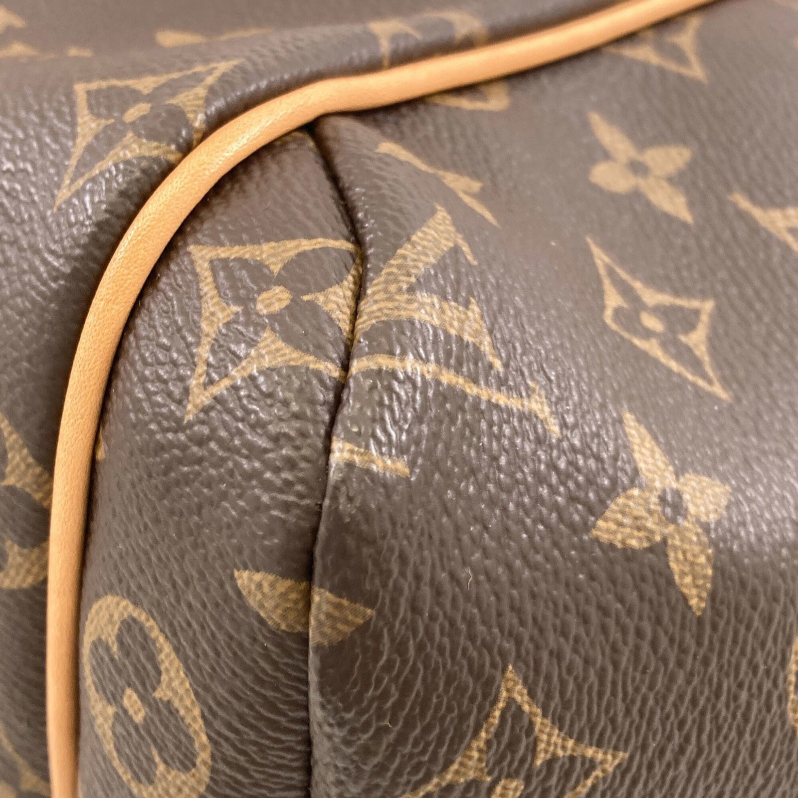 Monogram Canvas Louis Vuitton Tote - 12