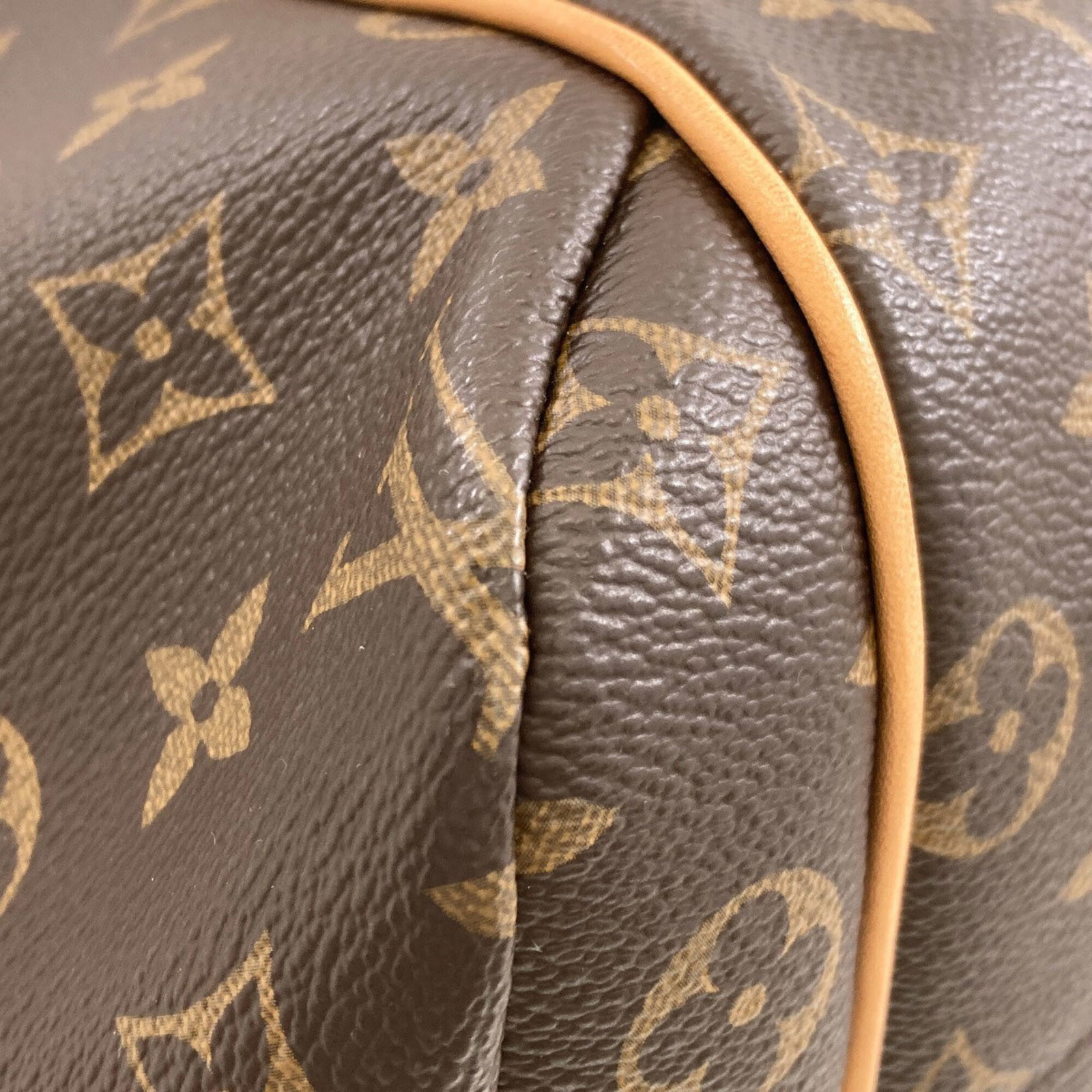 Monogram Canvas Louis Vuitton Tote - 13