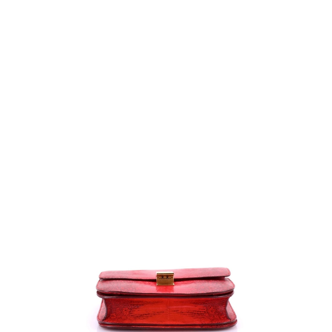 Classic Box Bag Celine Lizard Medium - 4