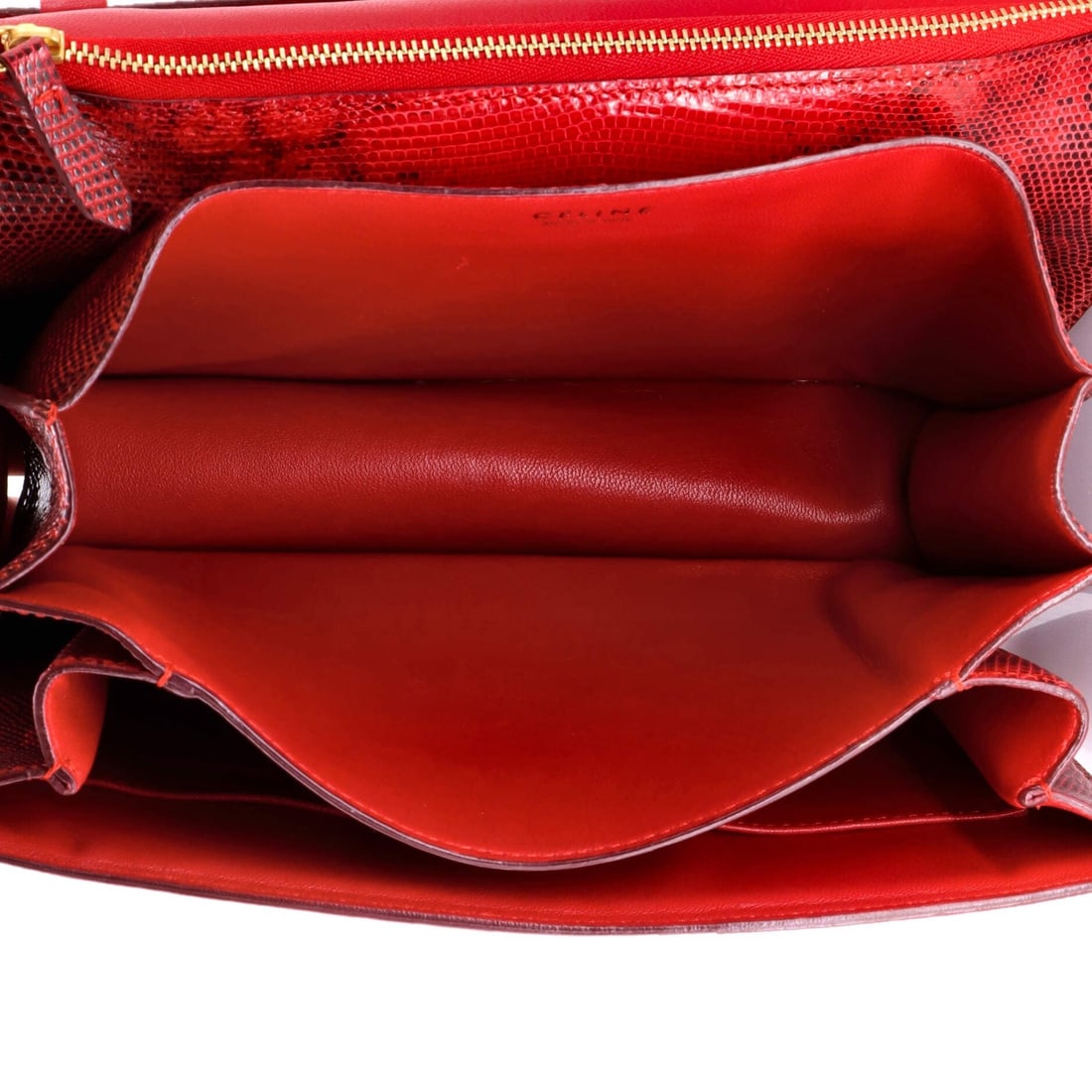 Classic Box Bag Celine Lizard Medium - 5