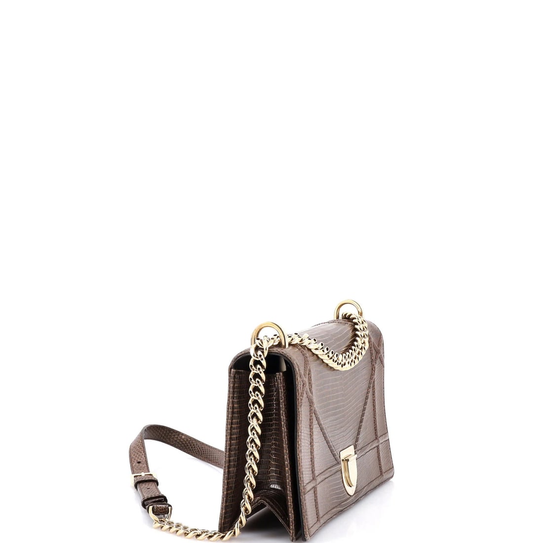 Dior Diorama Flap Lizard Bag Medium - 2