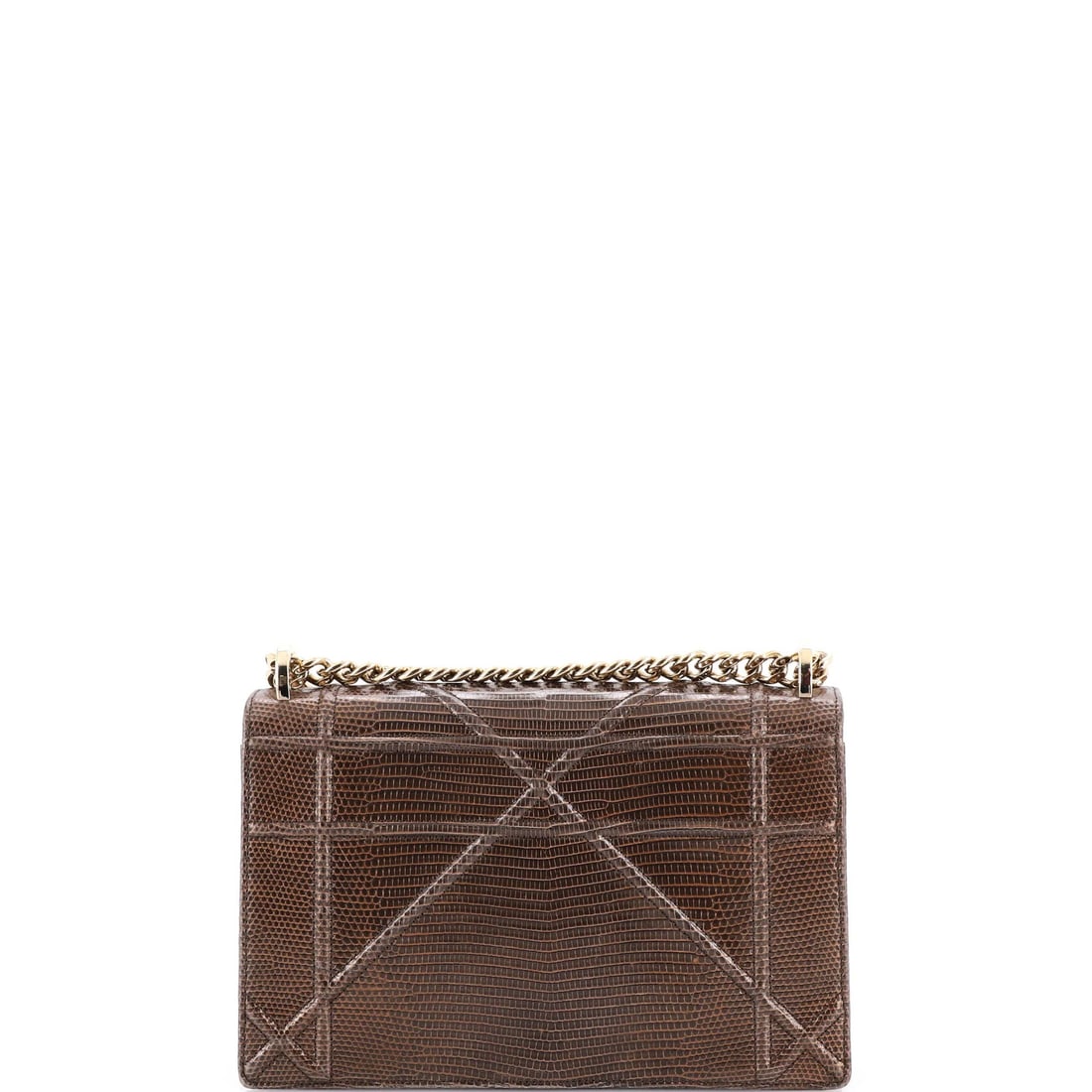 Dior Diorama Flap Lizard Bag Medium - 3
