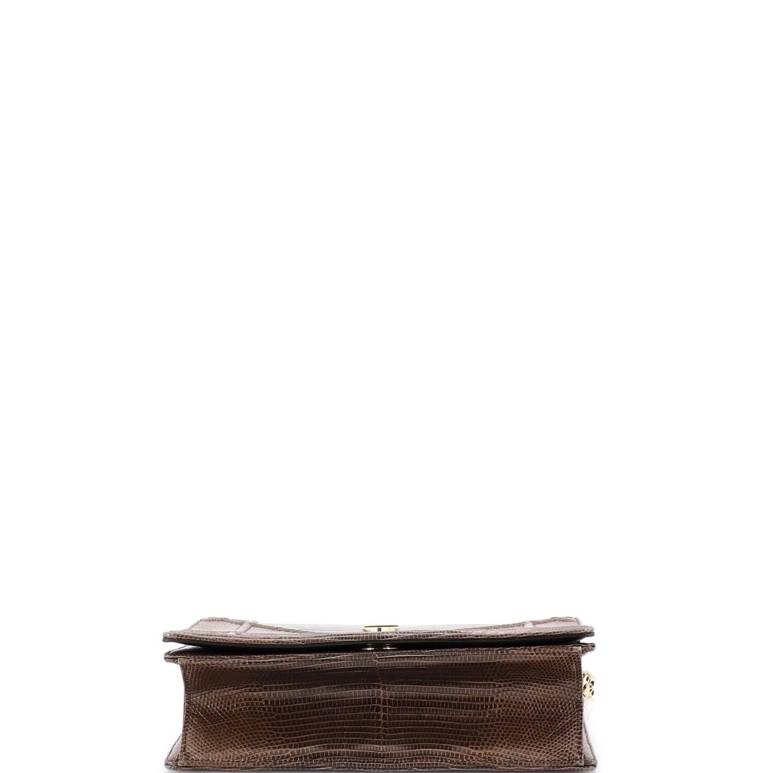 Dior Diorama Flap Lizard Bag Medium - 4