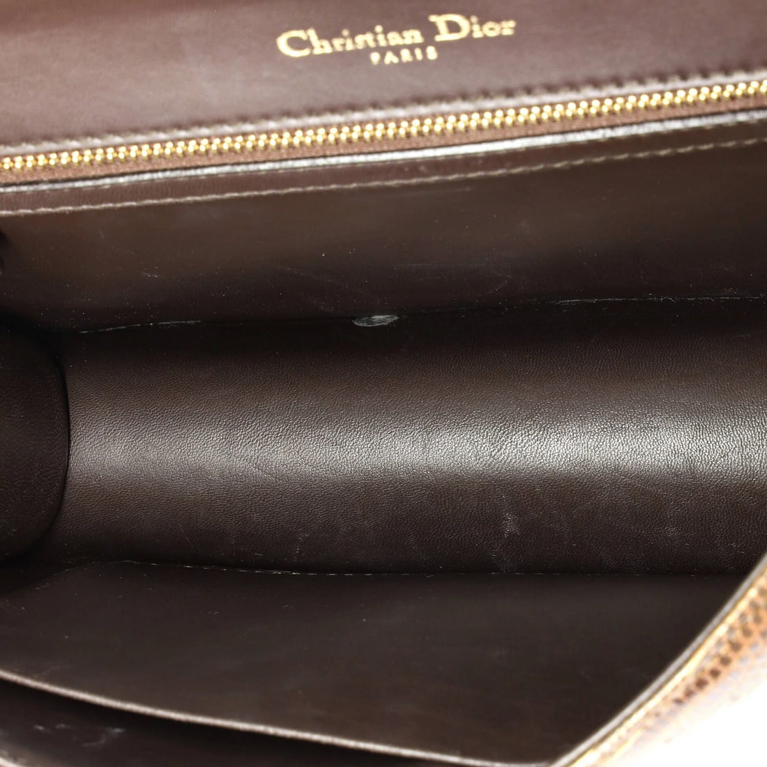 Dior Diorama Flap Lizard Bag Medium - 5