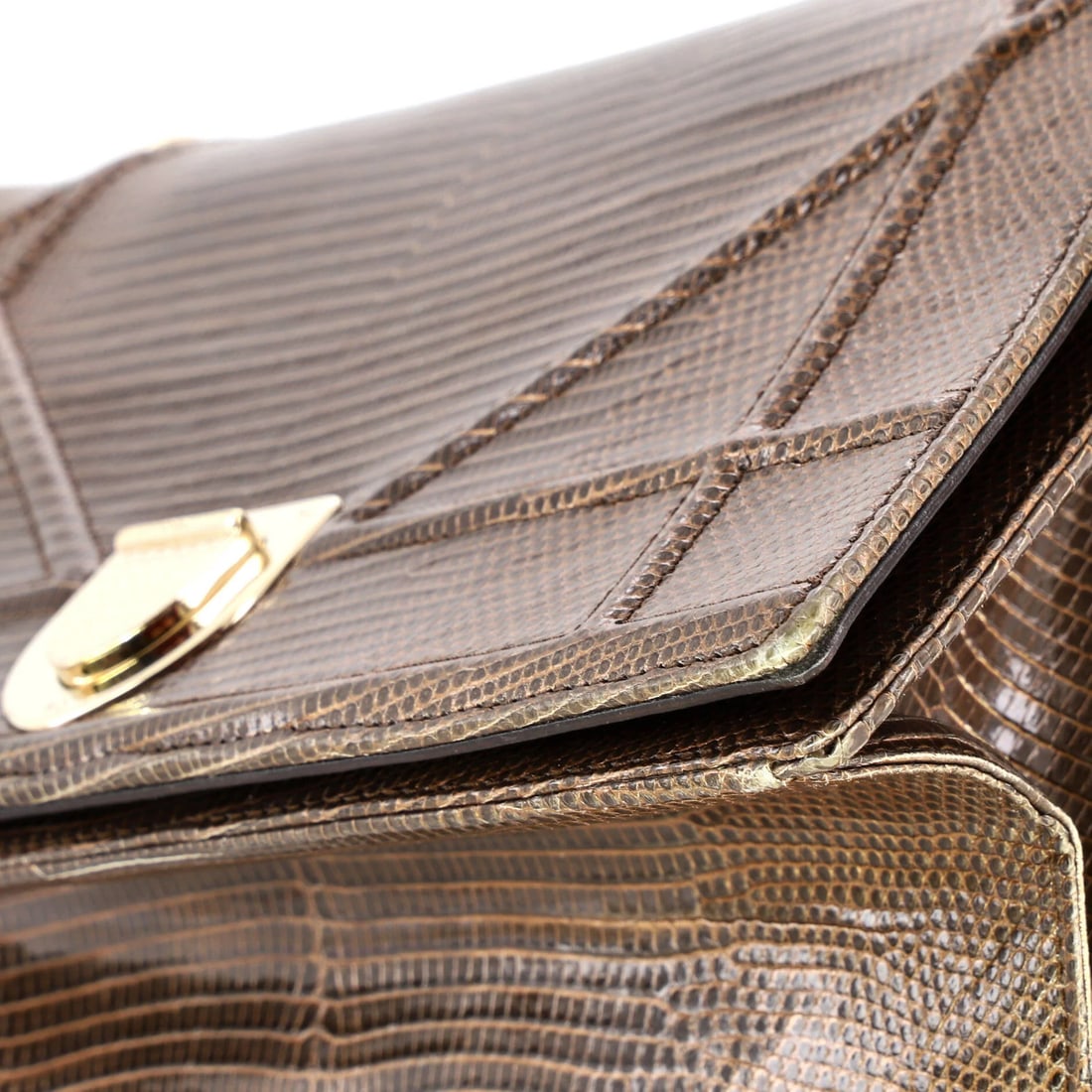 Dior Diorama Flap Lizard Bag Medium - 6
