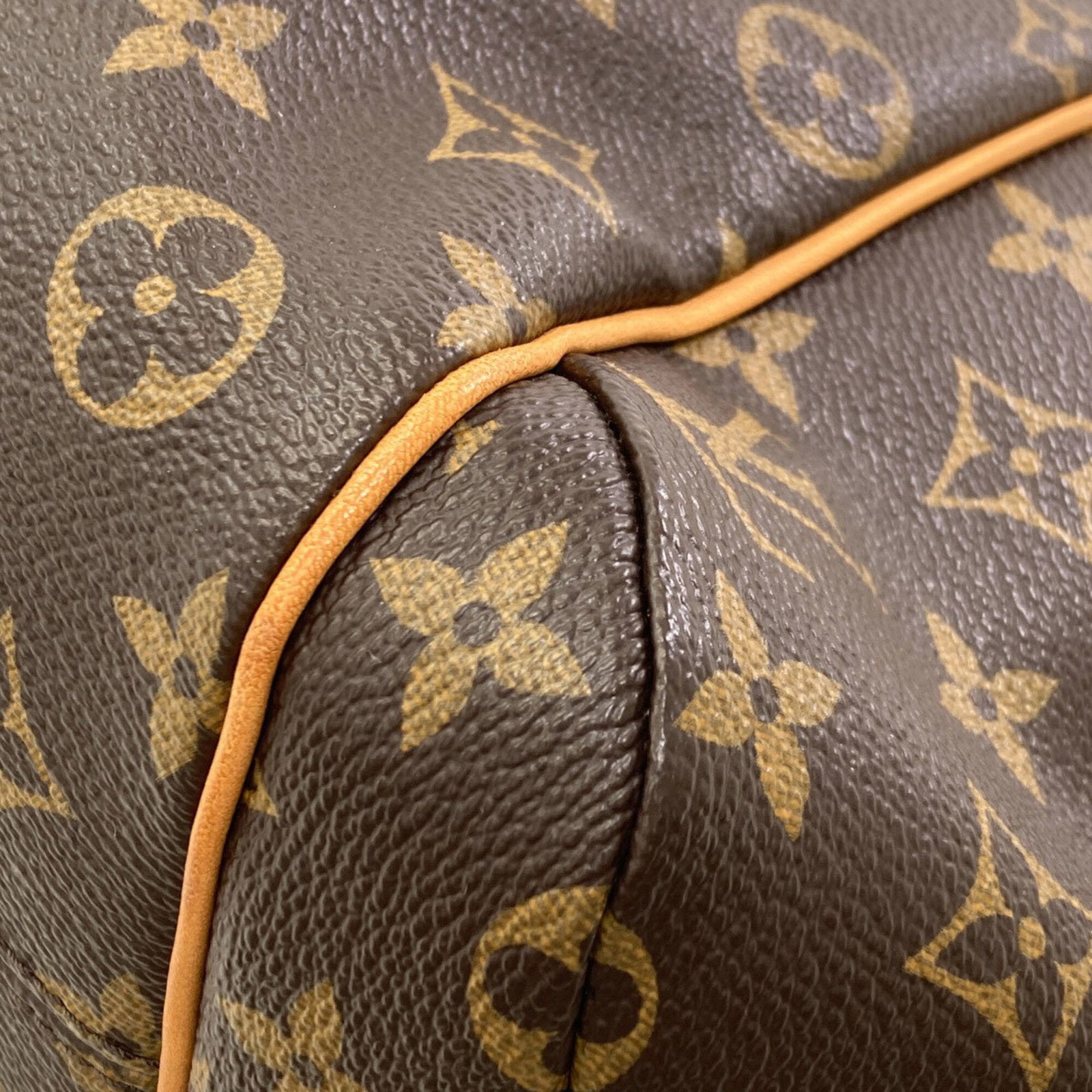 Louis Vuitton Monogram Tote - 19