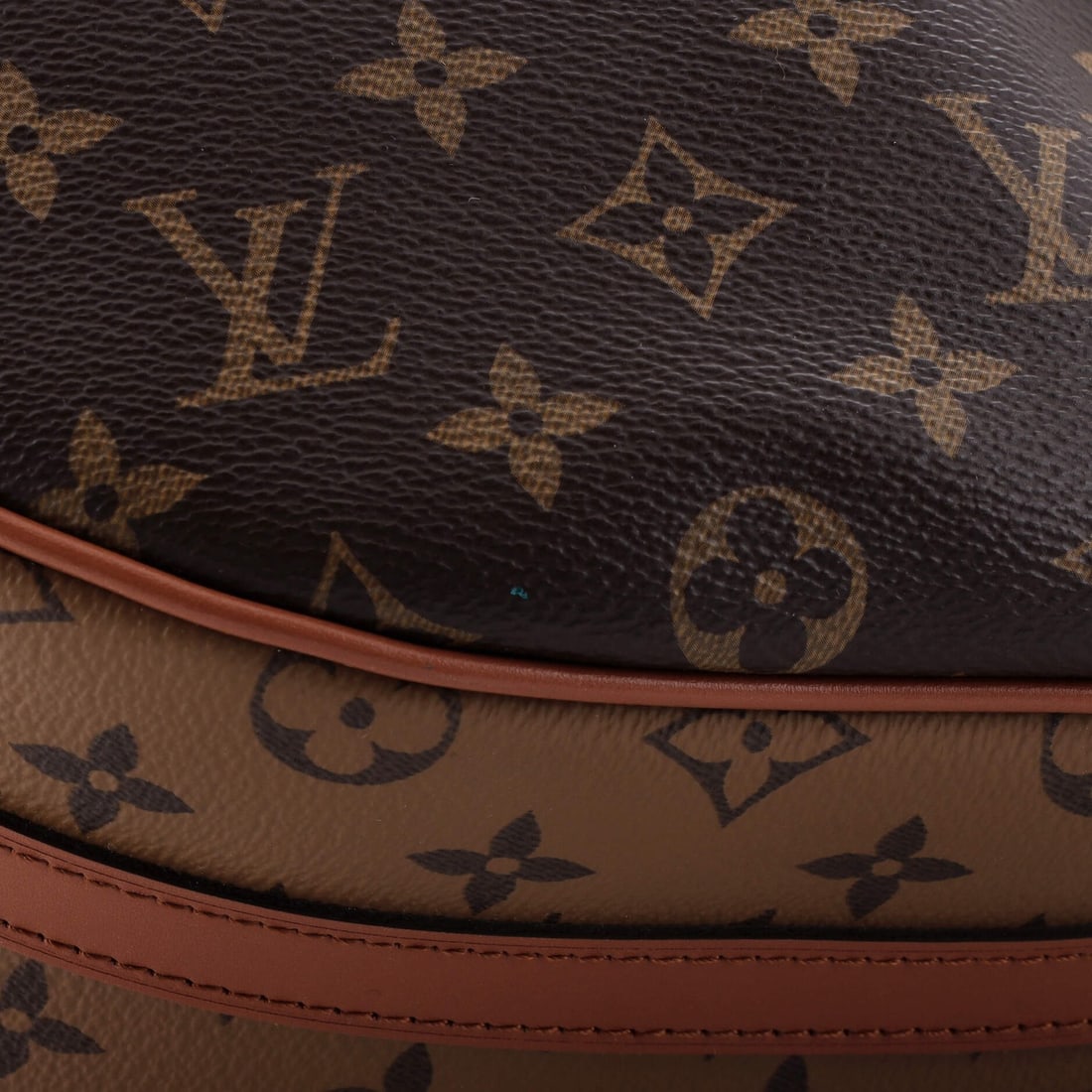 Louis Vuitton Loop Hobo Reverse Monogram Canvas - 6