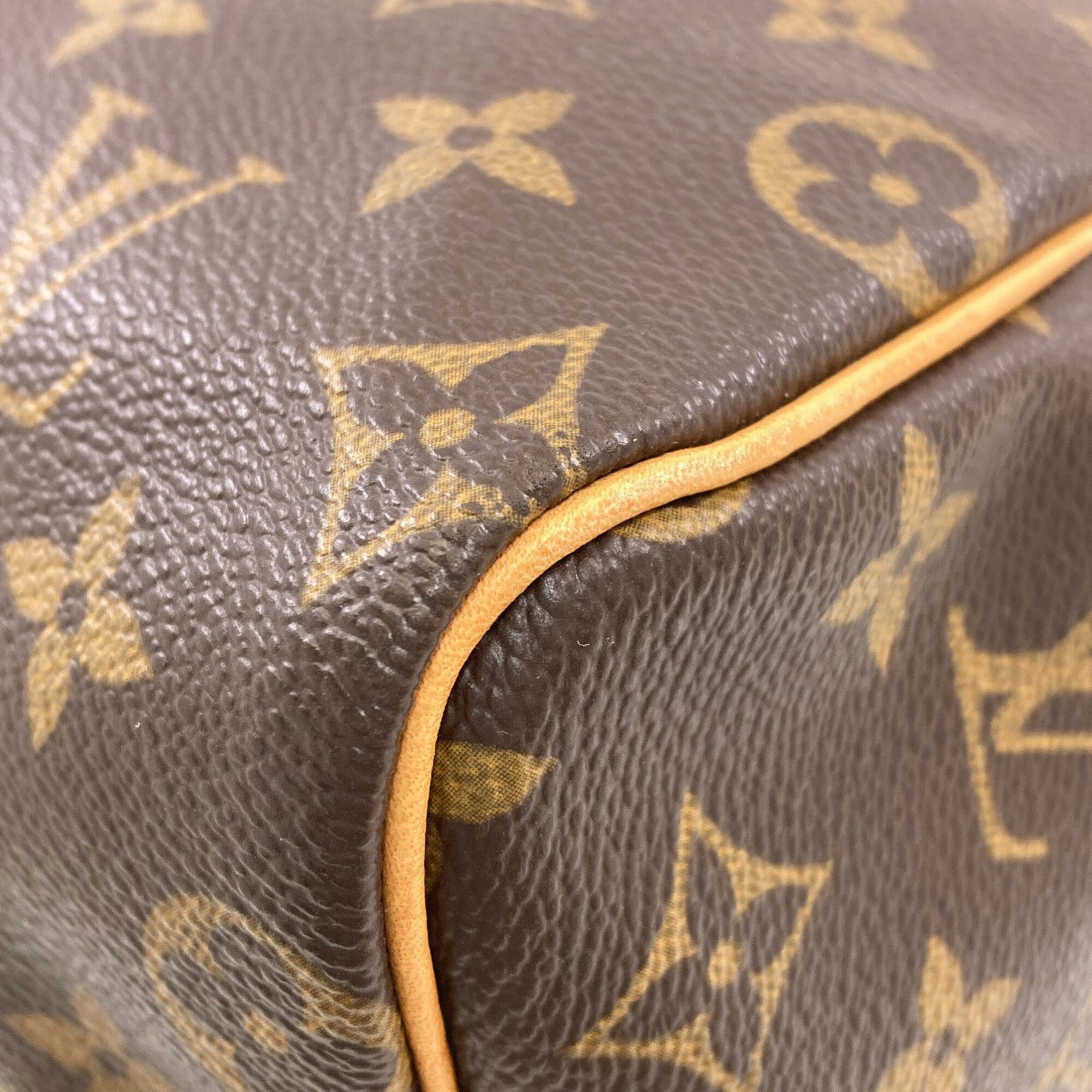Canvas Monogram Louis Vuitton - 18