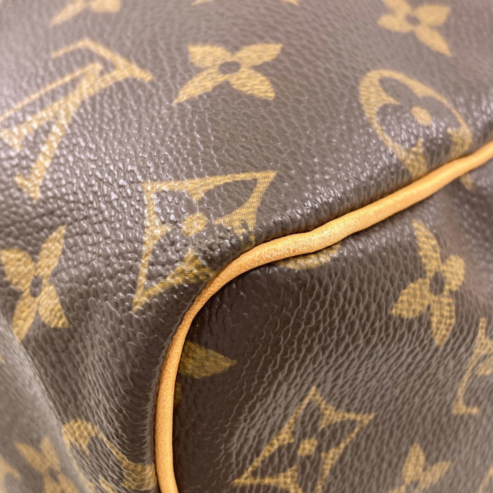 Canvas Monogram Louis Vuitton - 20