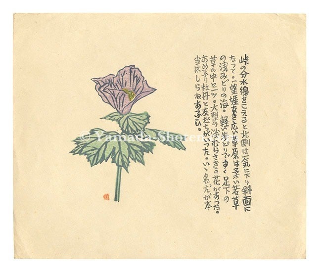 Senpan Maekawa Peony Sosaku in 1950s Japanese Woodblock Hang: Senpan Maekawa Peony Sosaku in 1950s Japanese Woodblock Hang Item Specifics: Artist: Maekawa Senpan Subject: Sosaku-hanga Flower (Peony in Rain) Material: Washi paper Style: Japanese Size: 19.8 x 23.5
