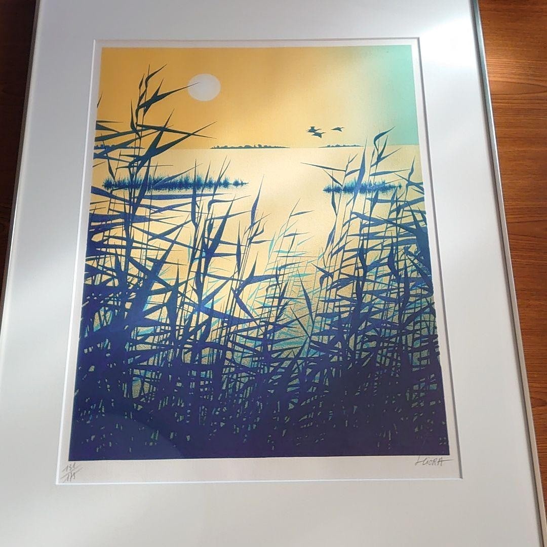 Daniel Sciora Signed Lithograph Reeds Lake Sunset French Art Framed 131/ 175 (1 of 8)