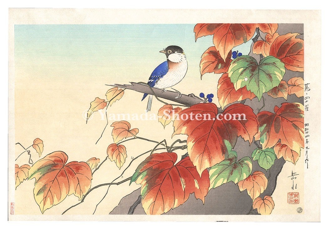 Japanese Ivy Print Watanabe Titmouse Woodblock 1949 Reprint: Japanese Ivy Print Watanabe Titmouse Woodblock 1949 Reprint Item Specifics: Artist: Ide Gakusui Subject: Titmouse and Ivy (Kacho-e) Material: Washi Paper Style: Japanese Size: 24 x 36.5 cm Year Of Pro