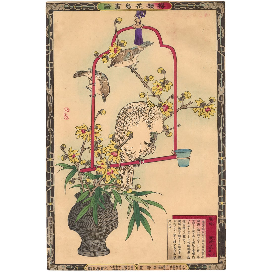Kacho ga Oban Parrot Wintersweet 1883 Woodblock Print Meiji: Kacho ga Oban Parrot Wintersweet 1883 Woodblock Print Meiji Item Specifics: Artist: Kono Bairei Subject: Kacho-ga (Bird-and-Flower Painting) Material: Washi Paper Style: Japanese Size: 36.4 x 24.2 cm 