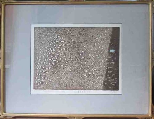 Hideo Hagiwara Flower Falling Day No.1 1984 Woodblock Print Signed Limited (1 of 1)