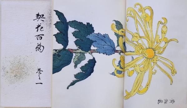 Keika Hasegawa One Hundred Chrysanthemums 3 Vol Set 1966 Woodblock Print Book: Keika Hasegawa One Hundred Chrysanthemums 3 Vol Set 1966 Woodblock Print Book Item Specifics: Artist: Keika Hasegawa Subject: Chrysanthemums (Botanical) Material: Paper Style: Japanese Size: 30.5 x 22