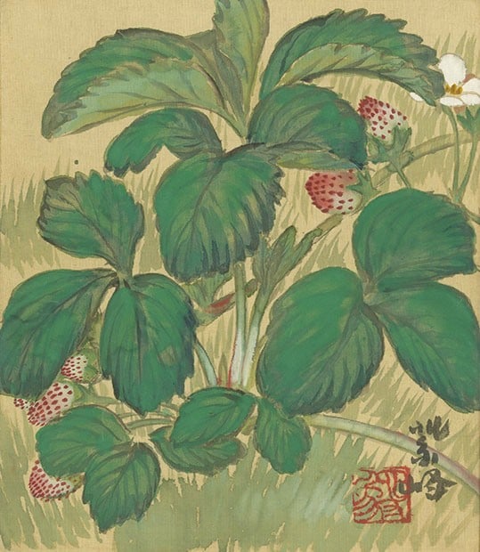 Shiho Kacho ga Nihonga Shikishi Strawberry Fruit Woodblock Print Sakakibara: Shiho Kacho ga Nihonga Shikishi Strawberry Fruit Woodblock Print Sakakibara Item Specifics: Artist: Sakakibara Shiho Subject: Strawberry Material: Paper on Board Style: Japanese Year Of Production: 20
