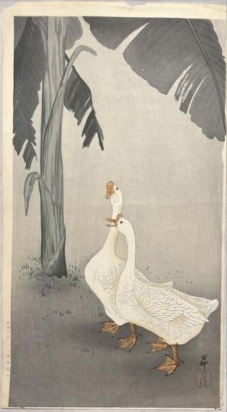 Woodblock Print Japanese Koson Ohara O Tanzaku Ducks Mandarin Chinese (1 of 2)