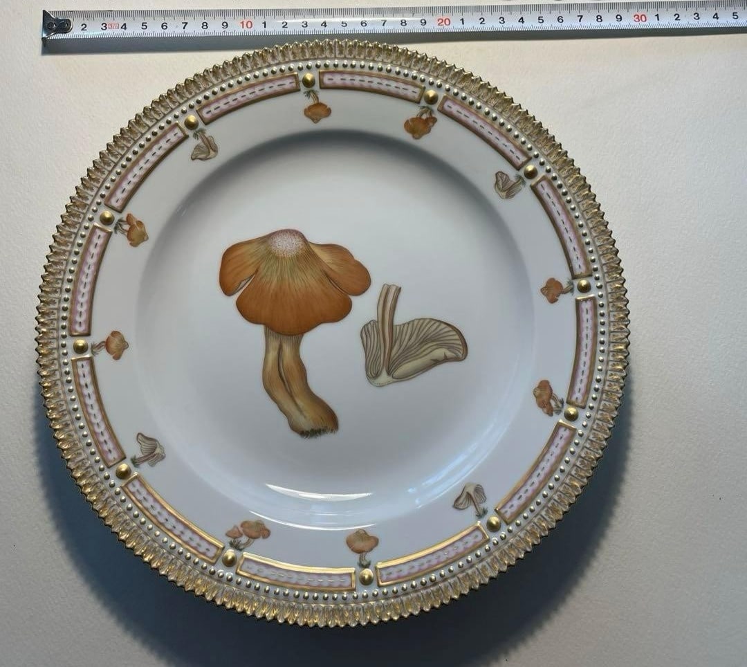 Copenhagen Rare Collectible Plate Design Large Royal Mushroom 10in Flora: Copenhagen Rare Collectible Plate Design Large Royal Mushroom 10in Flora Item Specifics: Pattern: Flora Danica Shape: Round Occasion: All Occasions Color: Multicolor Material: Porcelain Set Includes: 
