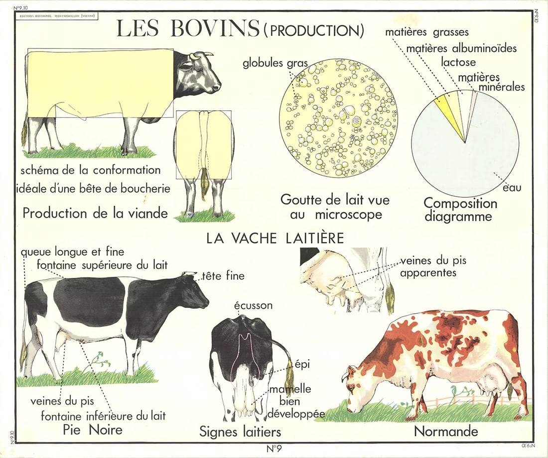 EMILE DEYROLLE Le Bovins (Production) 29.5" x 35.5" Offset Lithograph 1960 Conte (1 of 20)