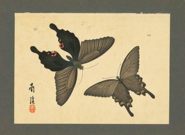 Meiji Haruki Nankei 100 Butterflies Japanese Woodblock Print Book Art (1 of 6)