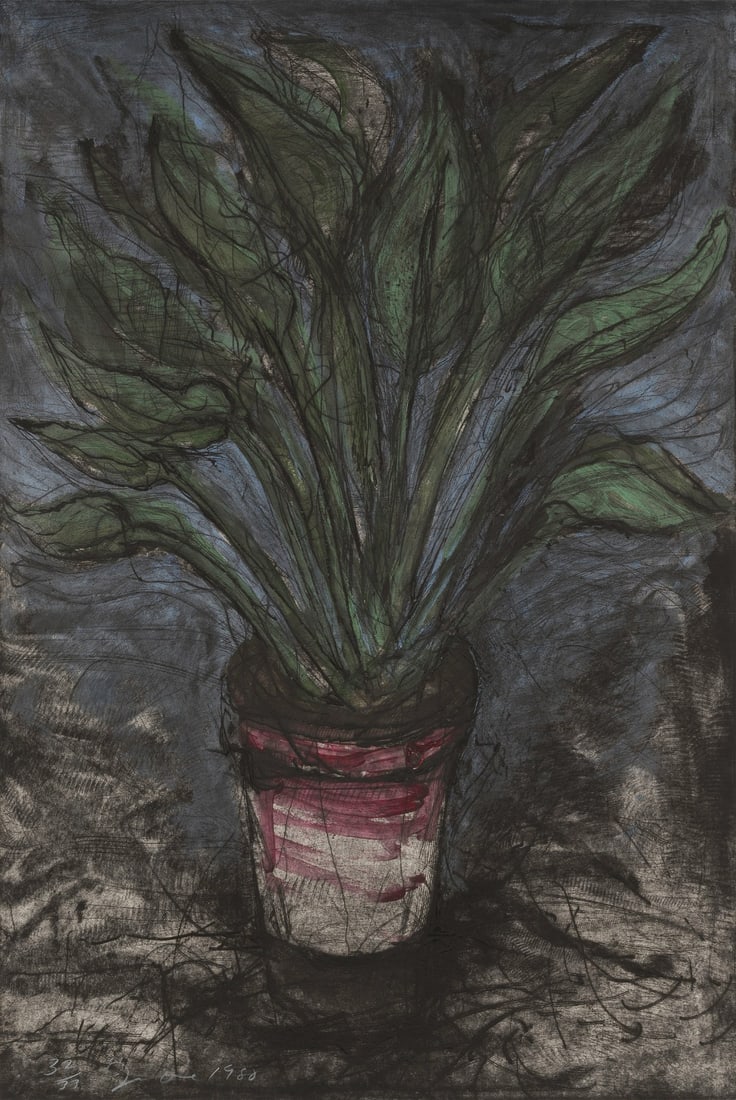 Jim Dine "A Well Painted Strelitzia" Hand-colored & Etched Autograph Made in USA (1 of 3)