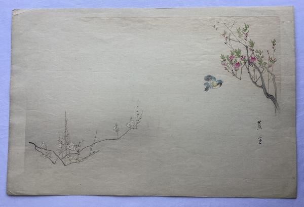Mishima Shoso Original Woodblock Print Kacho ga Birds and Flowers Japanese Art: Mishima Shoso Original Woodblock Print Kacho ga Birds and Flowers Japanese Art Item Specifics: Artist: Mishima Shoso Subject: Birds and Flowers (Kacho-ga) Material: Washi Paper Style: Japanese Size: 3