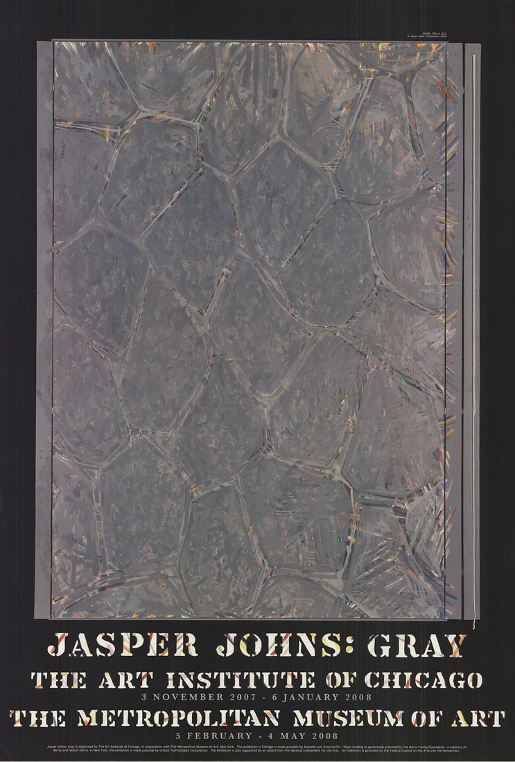 JASPER JOHNS Within 42.5" x 29" Poster 2007 Pop Art Blue Gray (1 of 4)