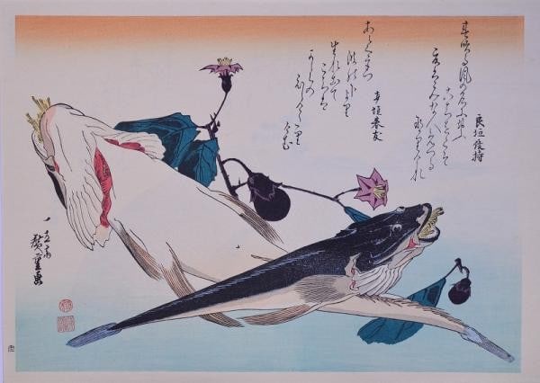 Woodblock Print Fish Series Oban Yuyudo Eggplant Flathead Hiroshige Utagawa: Woodblock Print Fish Series Oban Yuyudo Eggplant Flathead Hiroshige Utagawa Item Specifics: Artist: Utagawa Hiroshige Subject: Fish and Eggplant Material: Paper Style: Japanese Size: 27.5 x 39.5 cm Pr