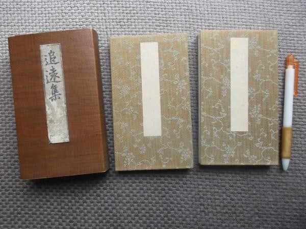 Meiji 1879 Woodblock Print Album Tsuien shu Koho Dojin Echigo Literati Art 2v (1 of 4)