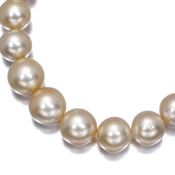 Tasaki Necklace South Sea Pearl 8.0-12.0Mm 18K 750 Yellow Gold: Tasaki Necklace South Sea Pearl 8.0-12.0Mm 18K 750 Yellow Gold Tasaki's 18K yellow gold necklace boasts a stunning South Sea pearl, measuring approximately 8.0-12.0mm in diameter, suspended from a